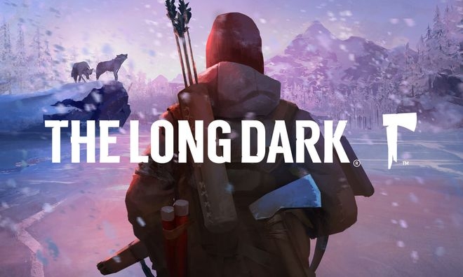 The Long Dark Survival Edition Steam key Global cover