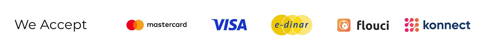 visa logo